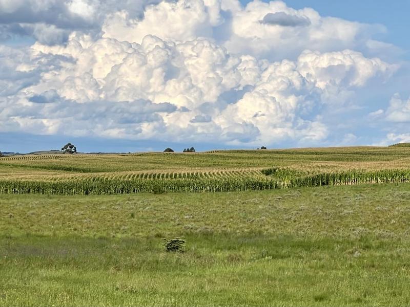 0 Bedroom Property for Sale in Bethlehem Rural Free State